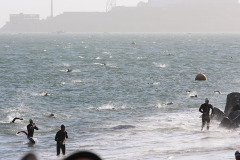 alcatraz_2016_007